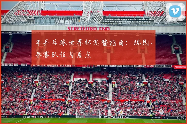 年乒乓球世界杯完整指南：规则、参赛队伍与看点